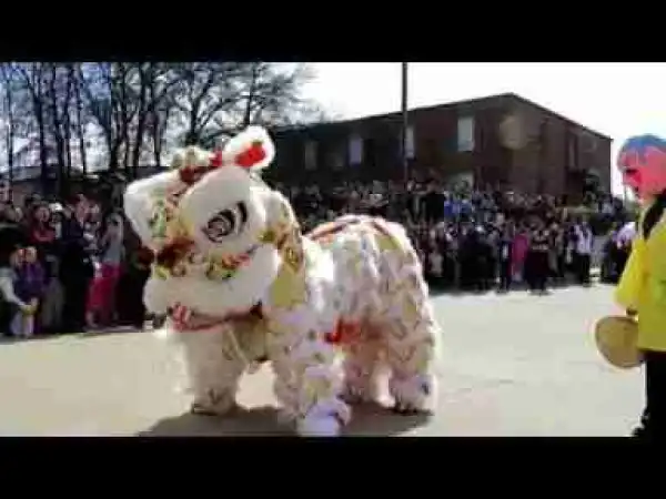 Amazing! This is Video You Need To See Before You Die #2